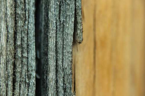 wood gray textile little sahara national recreation area